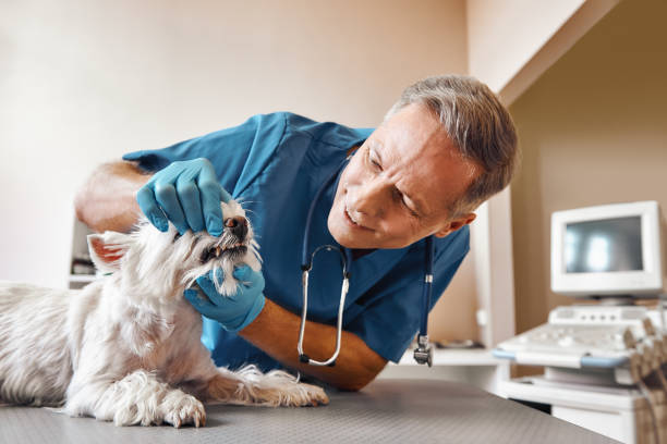 Best Emergency Wisdom Tooth Extraction in Mason, MI